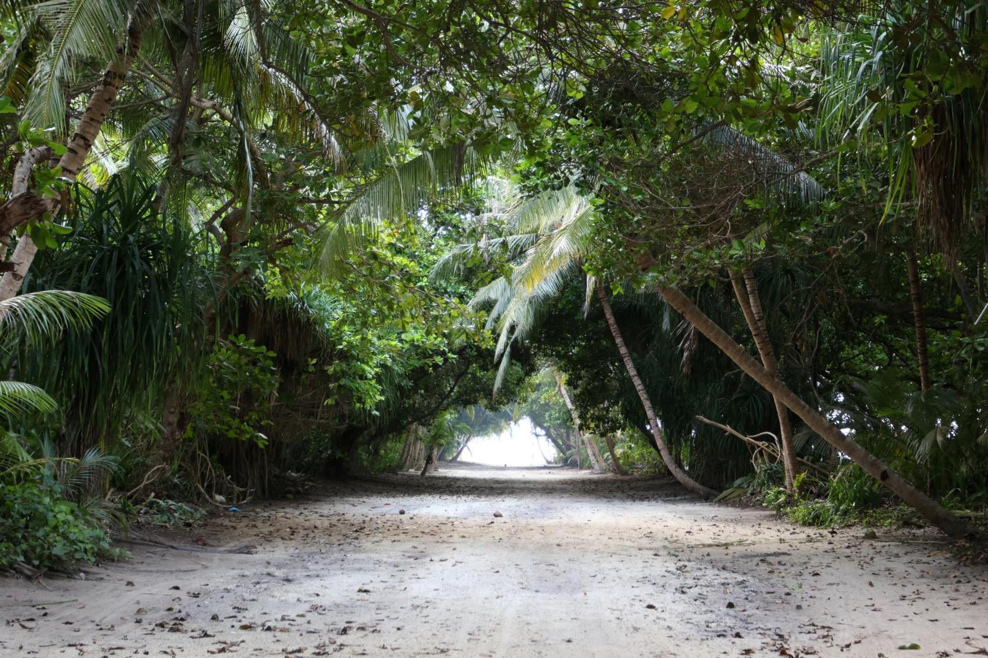 Hanifaru Transit Inn Dharavandhoo Exterior photo