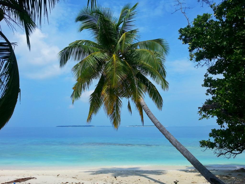 Hanifaru Transit Inn Dharavandhoo Exterior photo